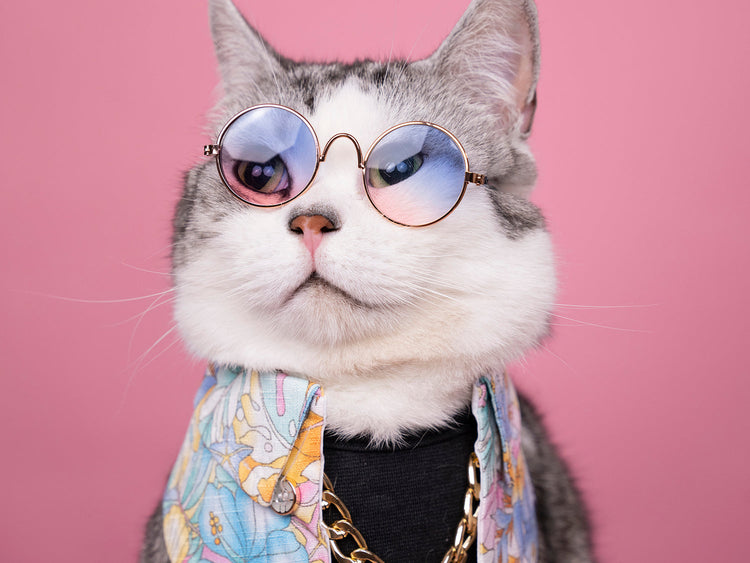 Eyewear