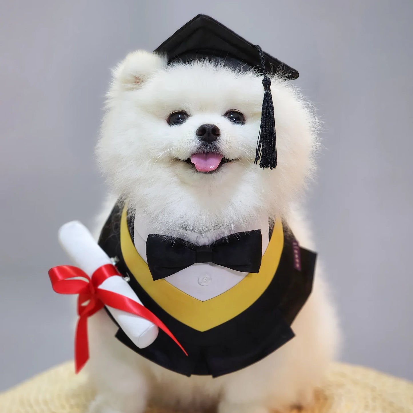Baccalaureate Regalia (Graduation) | Pet Bib