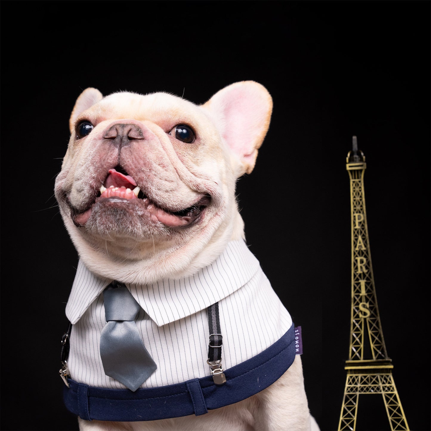 George | Pet Bib