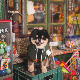 ***Pre-Order*** Lok-kwan A (洛軍) | Pet Bib