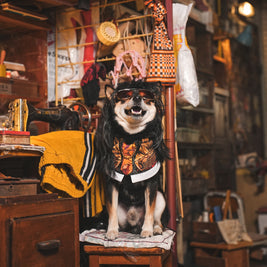 King (王九) Pet Bandana – Limited Edition Twilight of the Warriors Collaboration