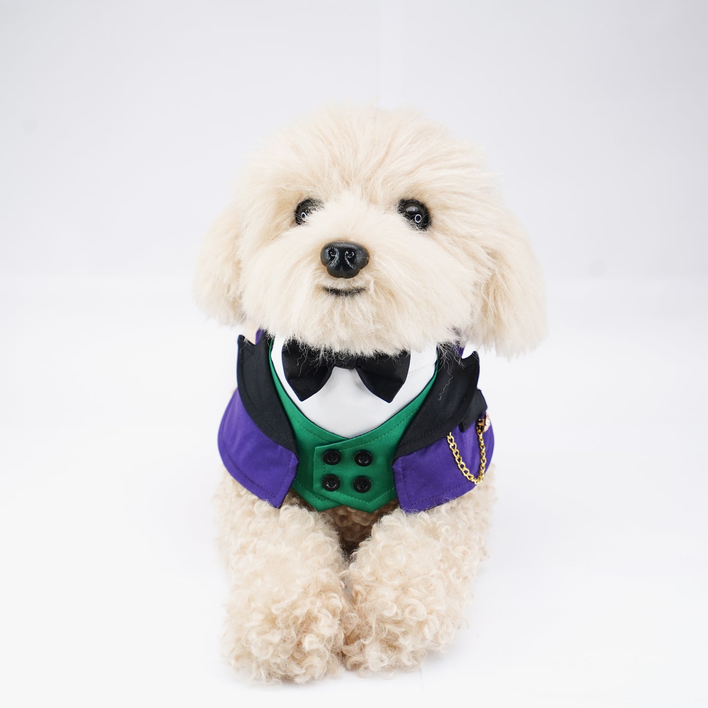 Jack | Pet Bib