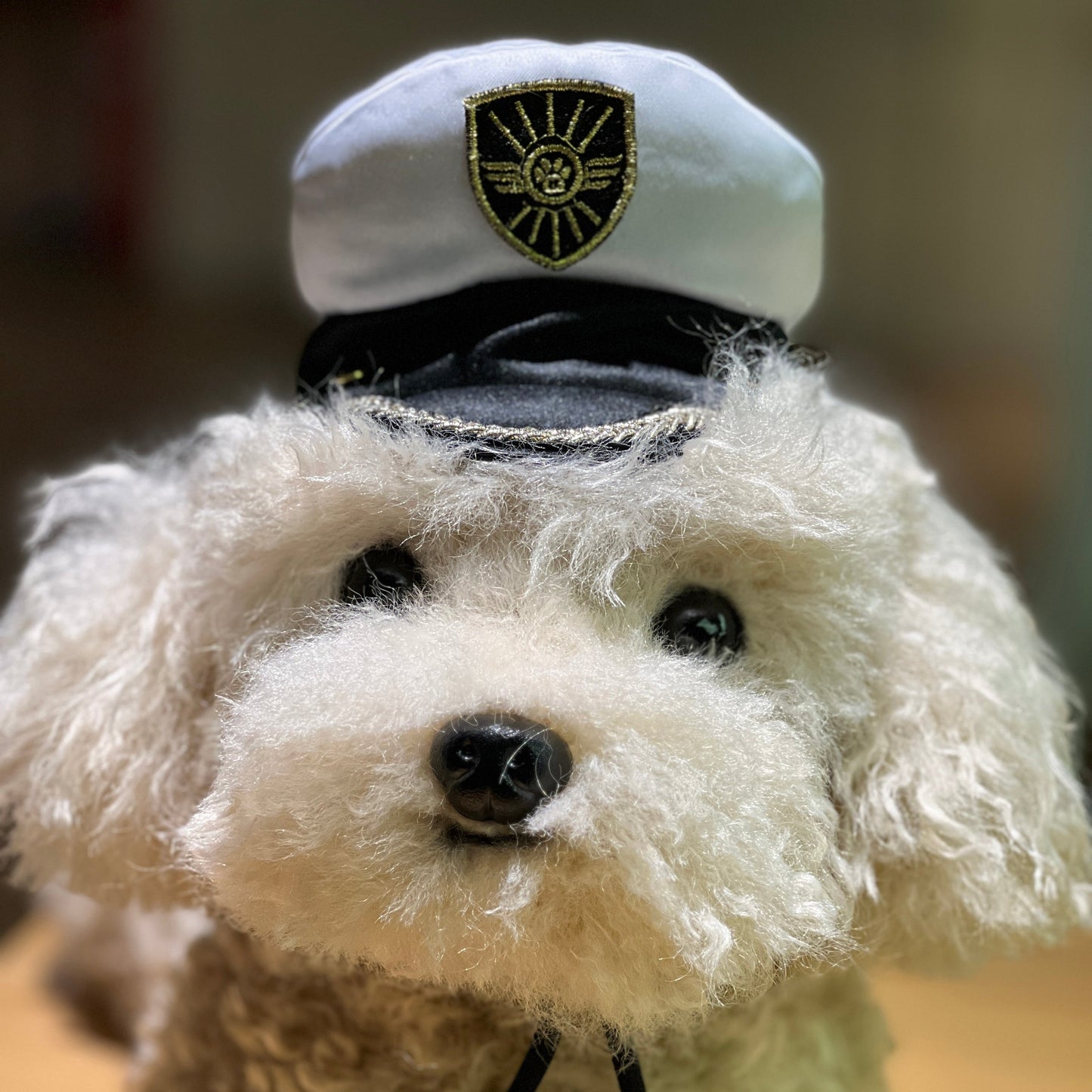 Pilot Pet Hat for Cats & Dogs