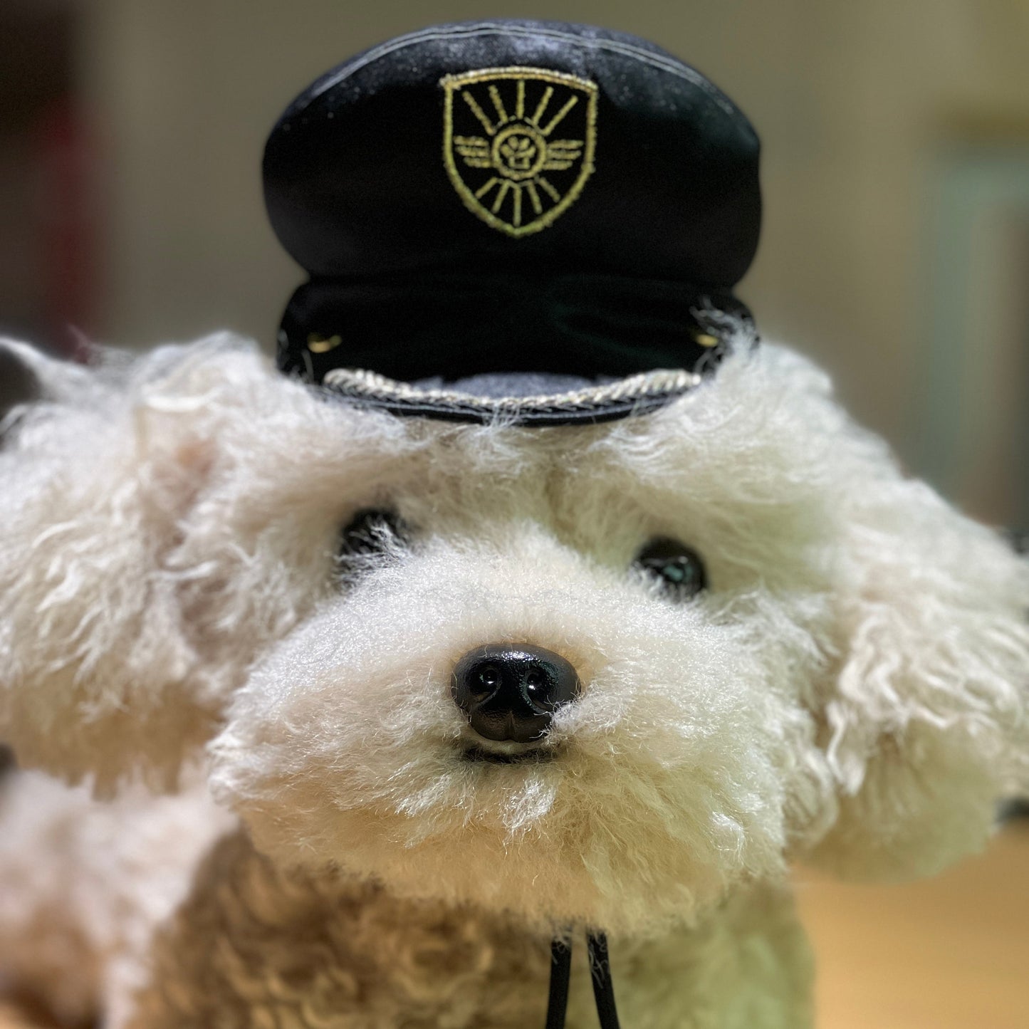 Momoji Air  ·  Pilot | Pet Hat
