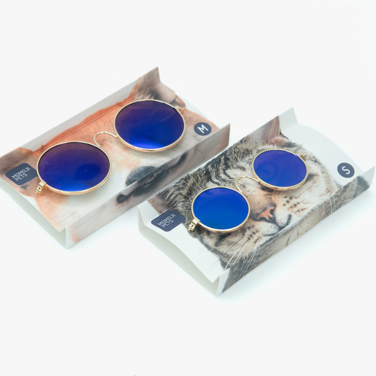 Leonardo Round (Radient Blue) | Pet Eyewear