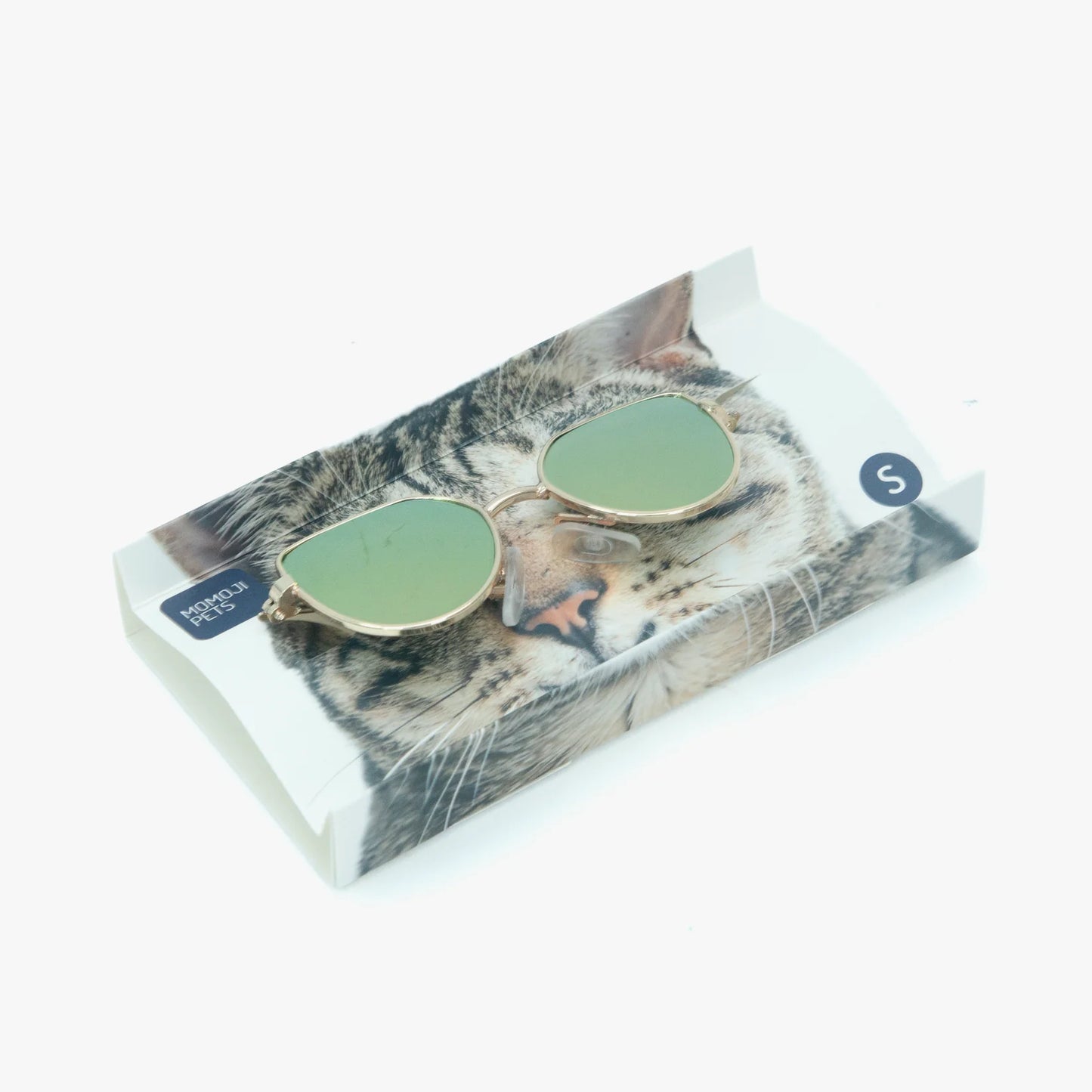 Cruise Marshall | Pet Eyewear