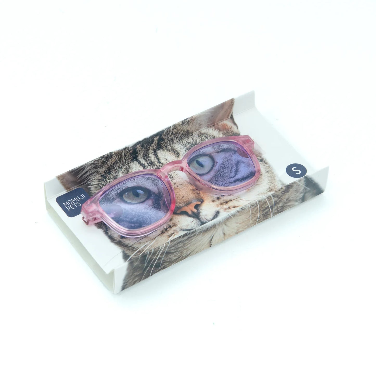 Hemsworth Square (Jelly Bean Blue) | Pet Eyewear