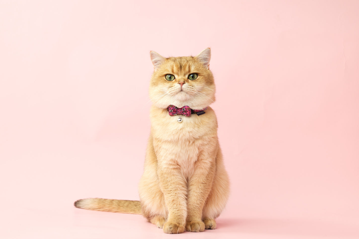 Long Live The Fur | Walkwear | Hong Kong