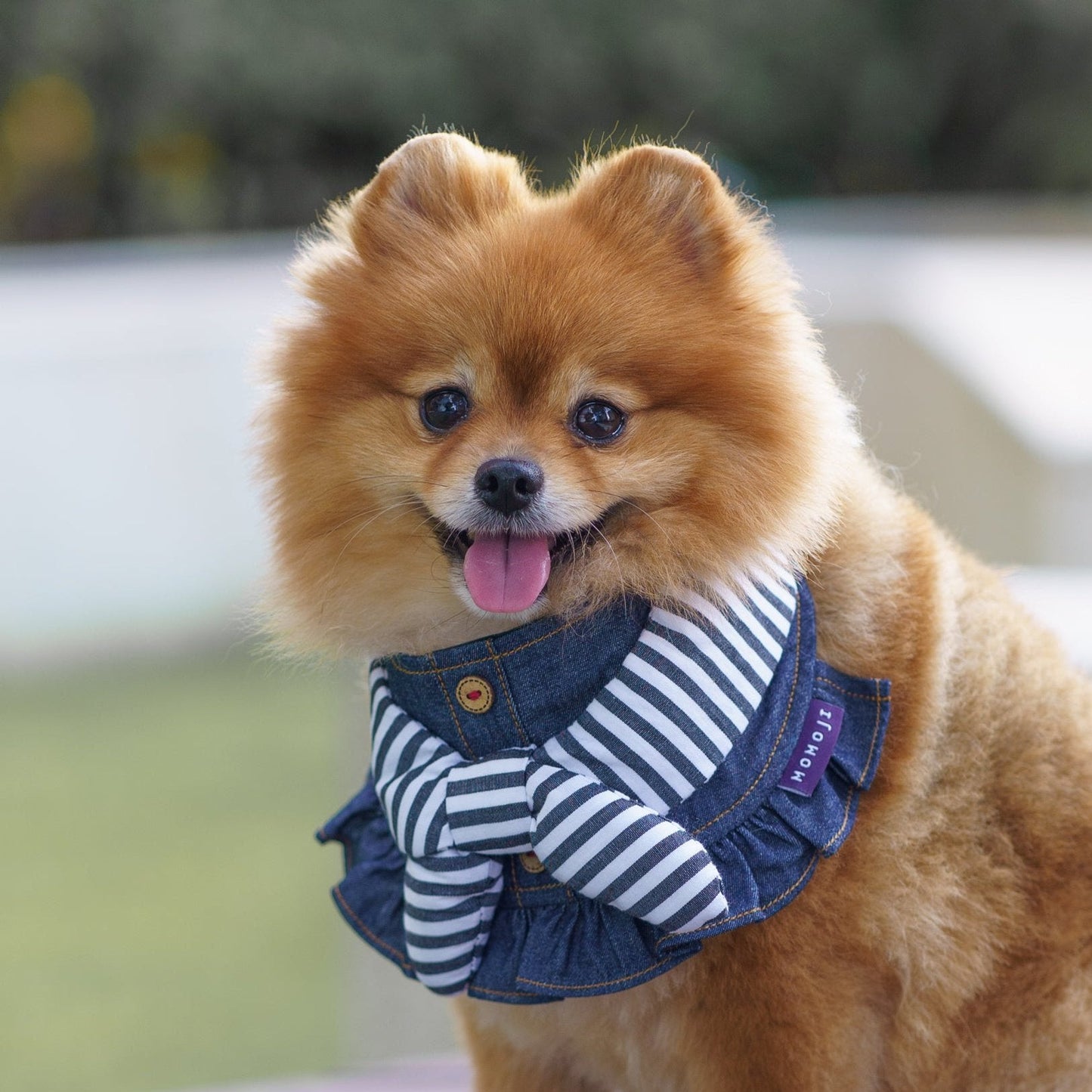 Michelle | Pet Bib