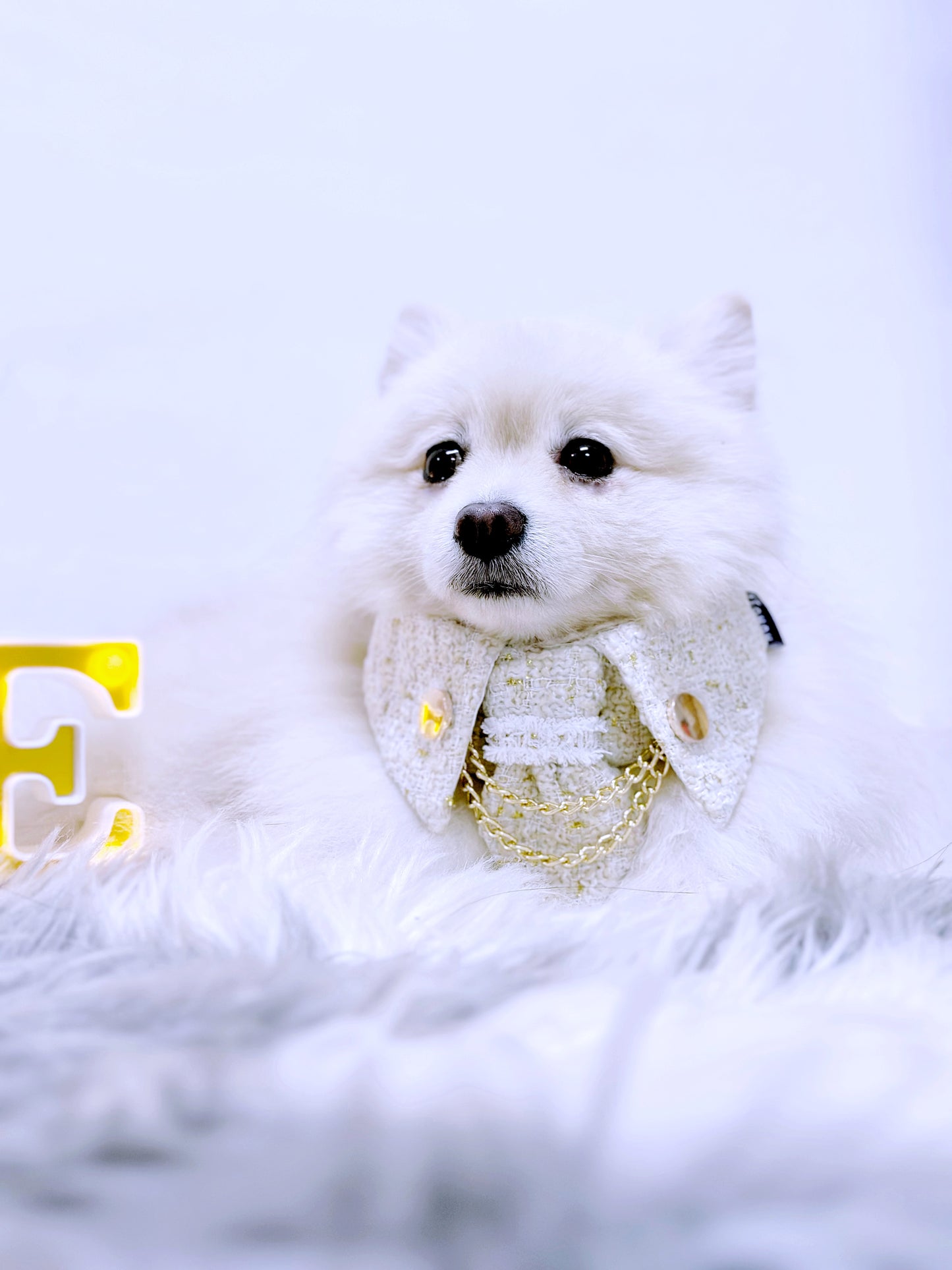 Leslie | Pet Bib