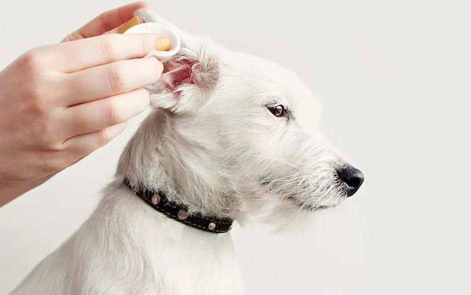 Natural Pet Ear Cleaner with Aloe Vera & Witch Hazel – 120ml