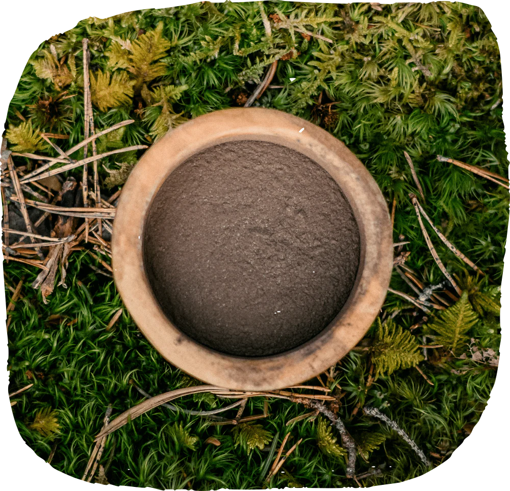 Natural Paw Balm for Dogs – Nordic Forest Extract, 30g