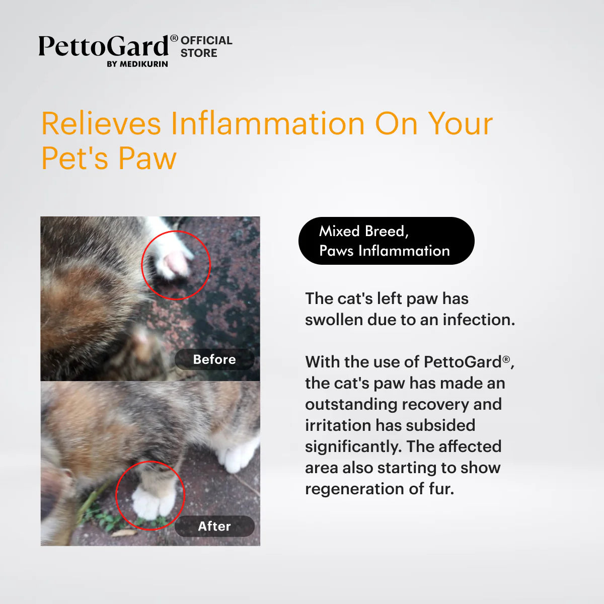 Antimicrobial Skin Care & Wound Spray for Cats 100ml