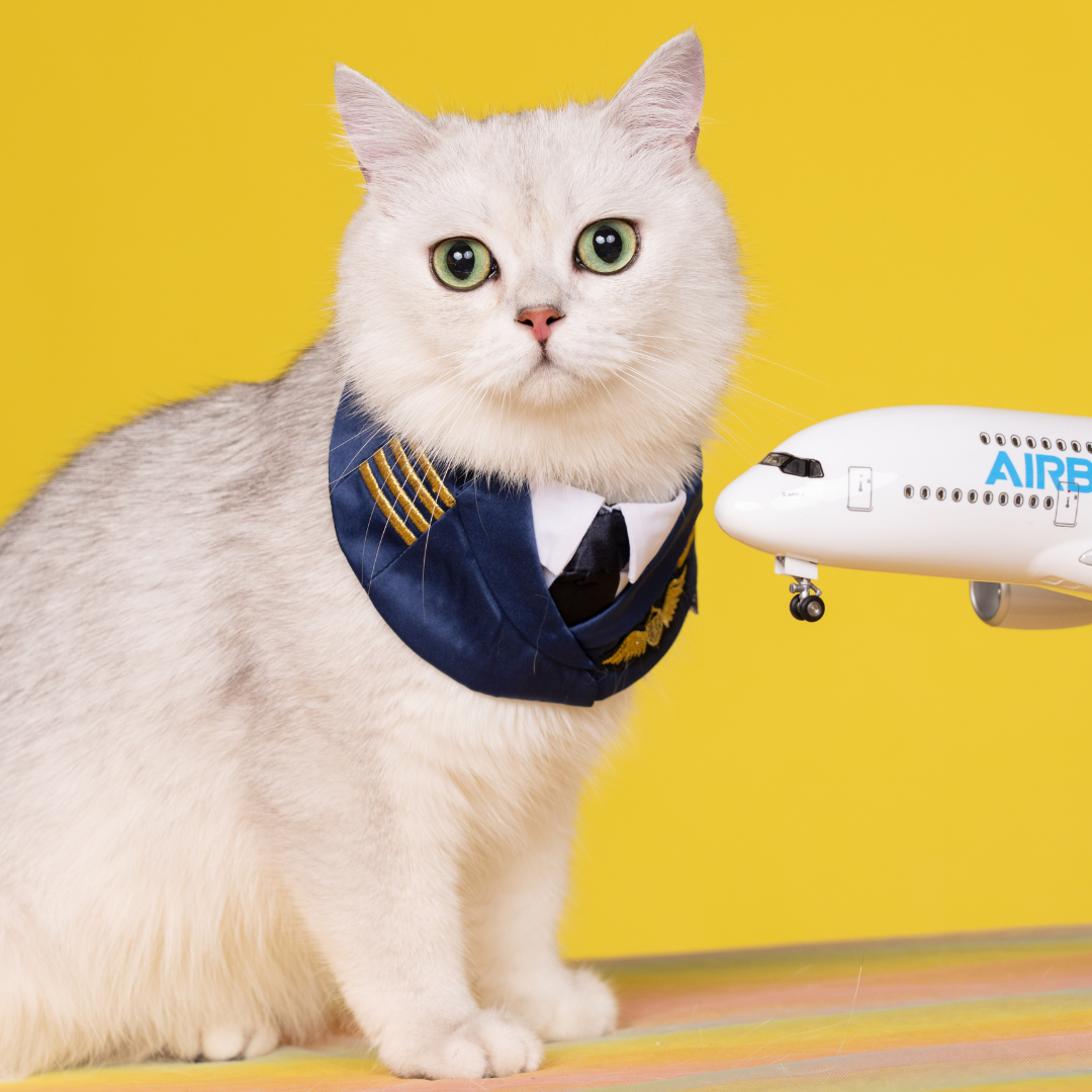 Momoji Air Pilot Pet Bandana for Cats & Dogs
