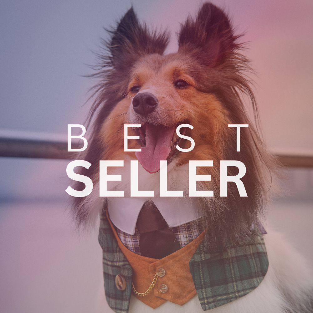 【Best Seller】