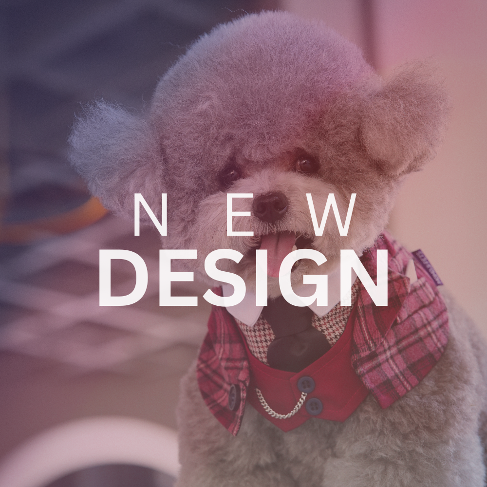 【New Designs】