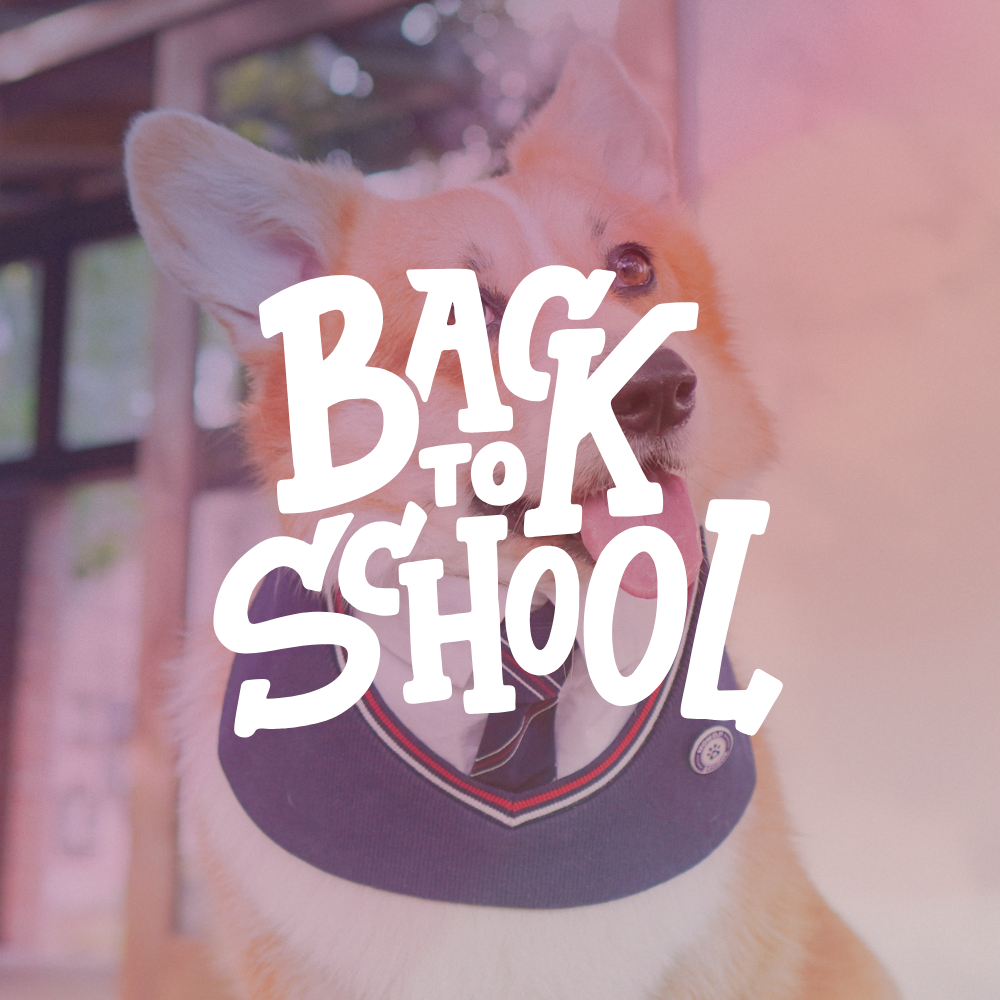 【20%OFF】Back To School Discount