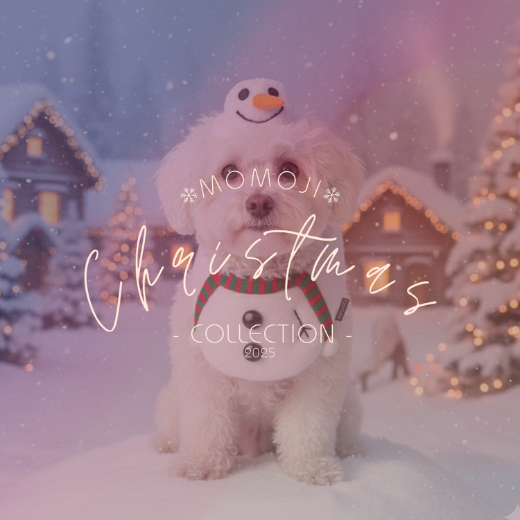 【Christmas Collection】