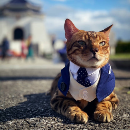 Queensway | Pet Bib