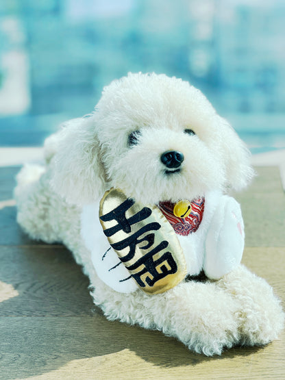 Fortune Cat Pet Bib Collar - Lunar New Year Lucky Accessory (Dogs & Cats)