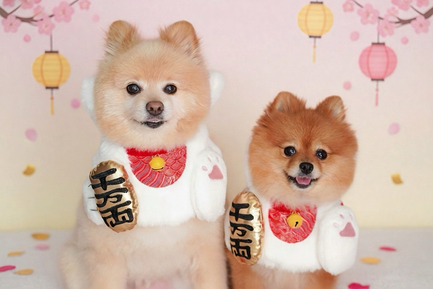 Fortune Cat Pet Bib Collar - Lunar New Year Lucky Accessory (Dogs & Cats)