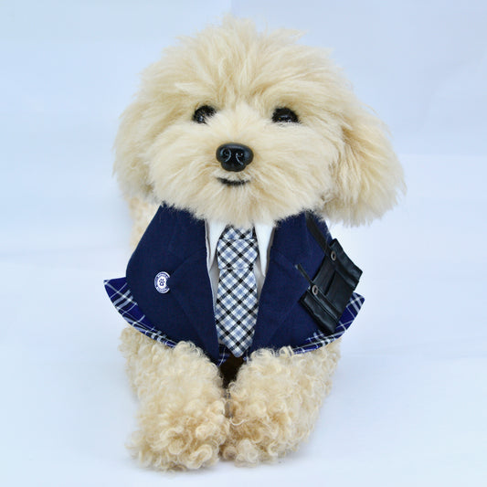 Morrison Hill Boys Pet Bib – Stylish Dog Bib for Small & Large Pets | Momoji