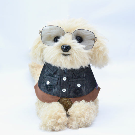 Cyclone (龍捲風) | Limited Edition Pet Bib