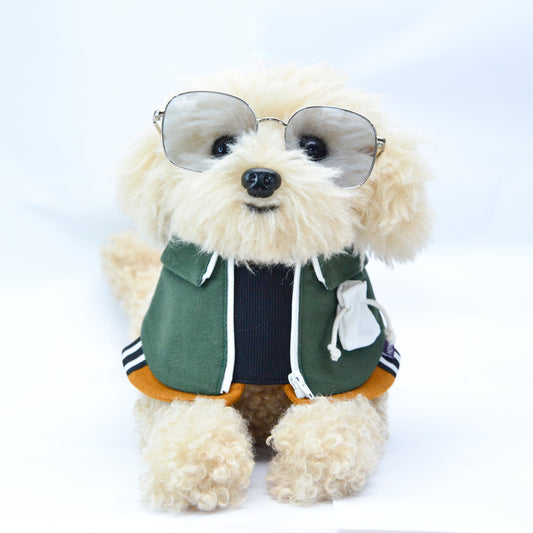 Lok-kwan A (洛軍) | Limited Edition Pet Bib