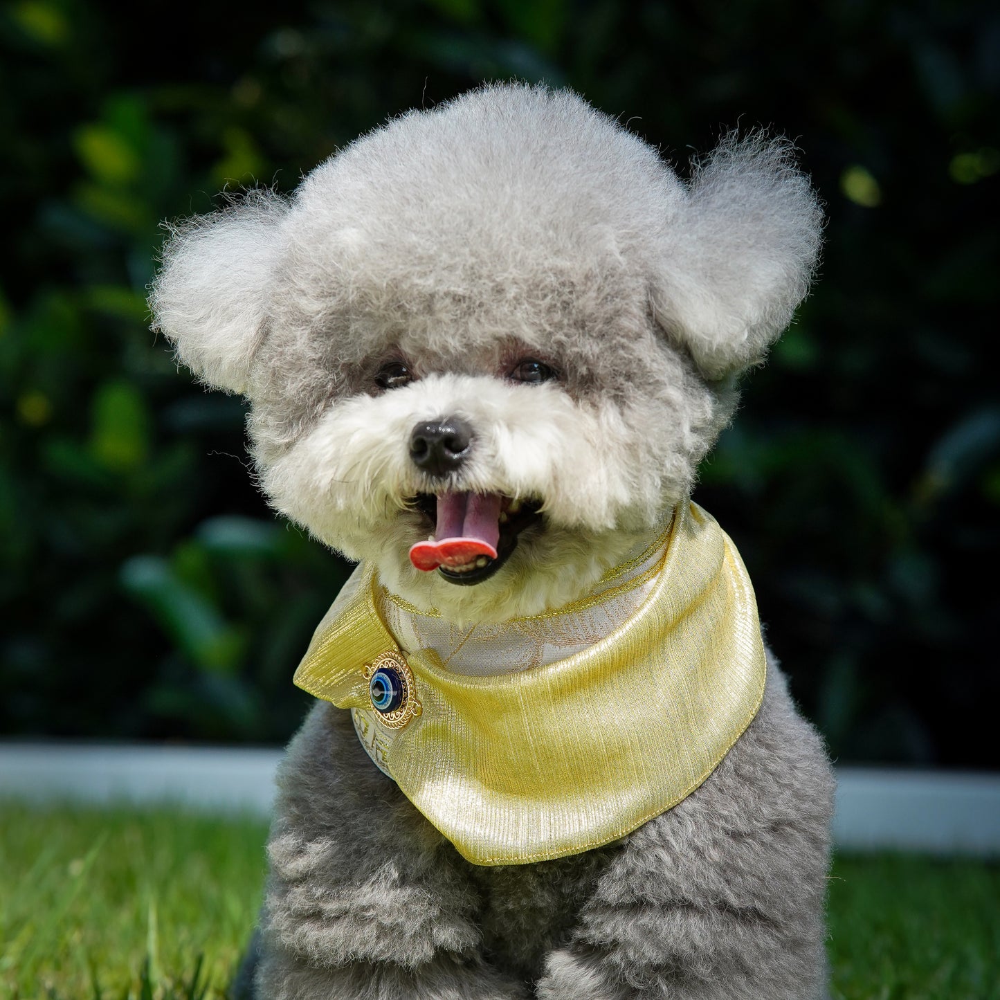 ***Pre-Order*** Zeus | Pet Bib