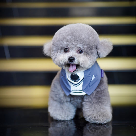 ***Pre-Order*** Joseph | Pet Bib
