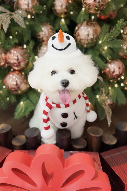 【Bib + Hat】Snowman Bundle