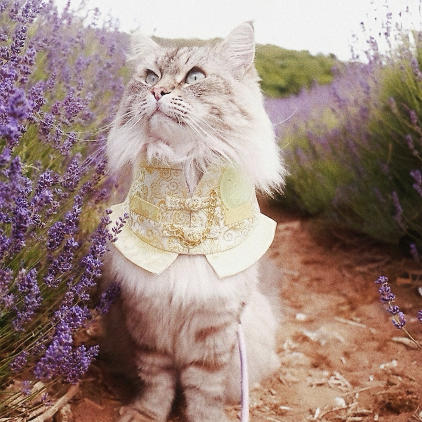 Noble Jade Pet Bib Collar | Chinese New Year Festive Pet Accessory