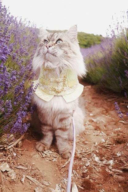 Noble Jade Pet Bib Collar | Chinese New Year Festive Pet Accessory