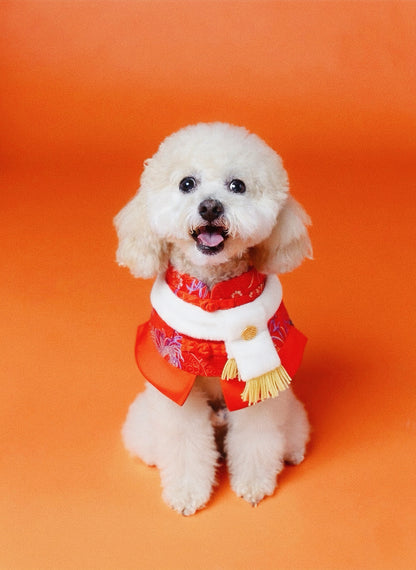 Valor Vermilion Red Pet Bib Collar – Chinese New Year Edition