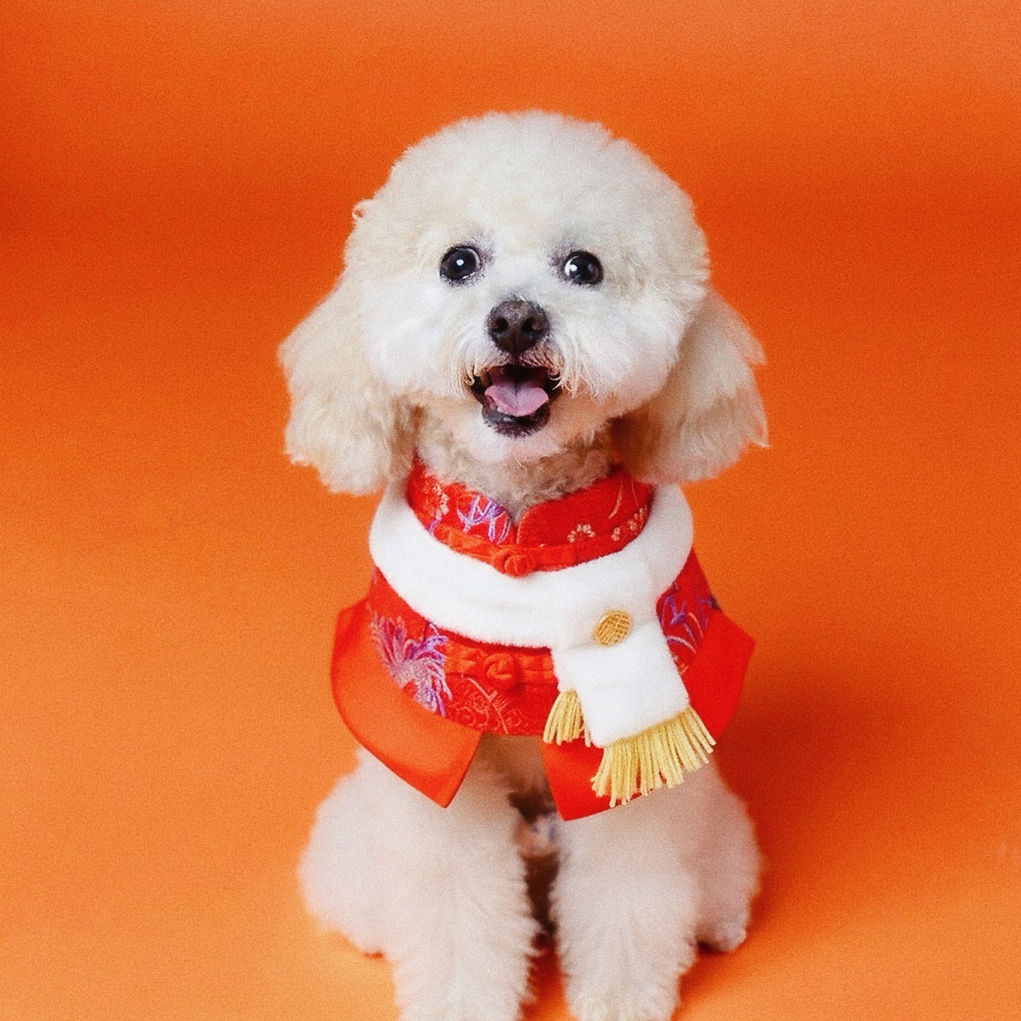 Valor Vermilion Red Pet Bib Collar – Chinese New Year Edition