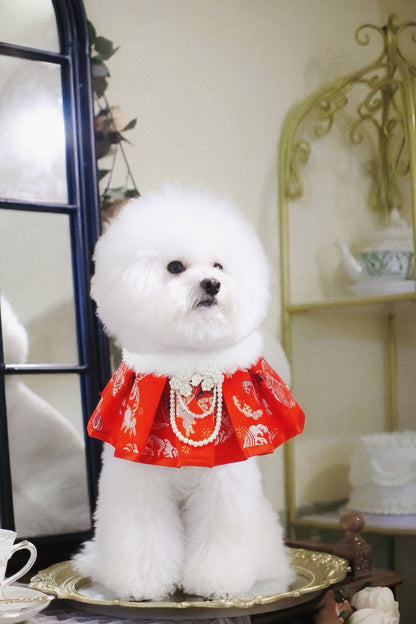 Blush Radiance Red Pet Bib Collar – Chinese New Year Lucky Pet Accessory