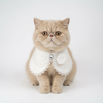Augusta | Victorian Collection Pet Bib