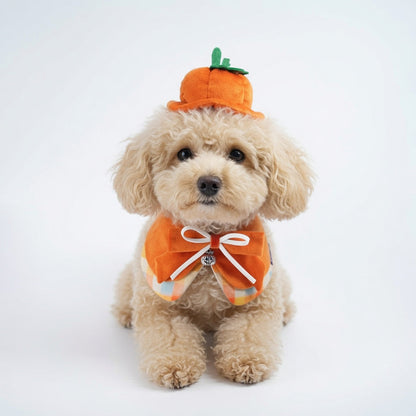 Pumpkin Scholar | Pet Neckwear