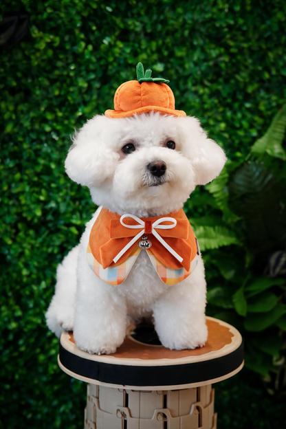 Pumpkin Scholar Hat (1-Harvest Pumpkin) | Pet Hat