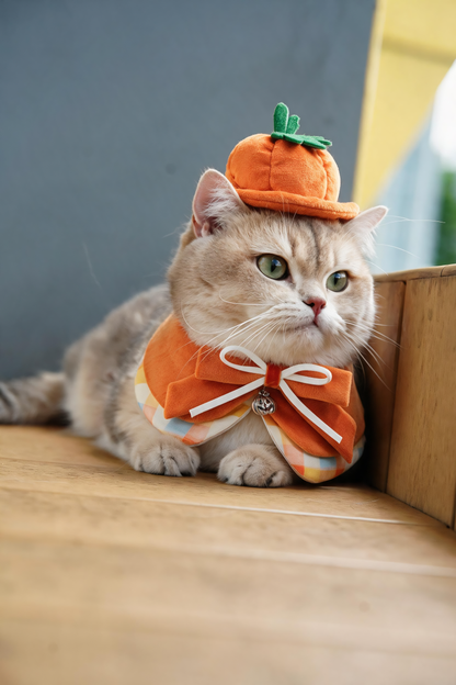 Pumpkin Scholar | Pet Neckwear