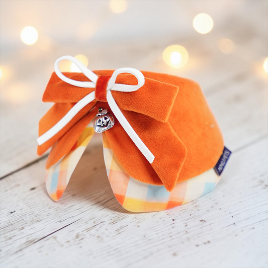 Pumpkin Scholar | Pet Neckwear