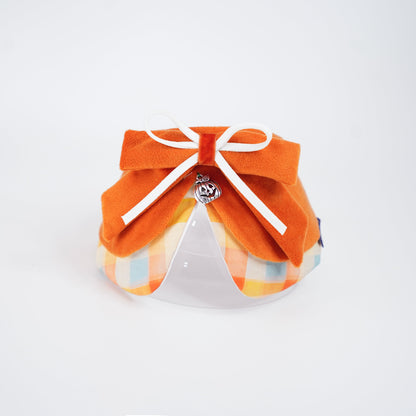 Pumpkin Scholar | Pet Neckwear