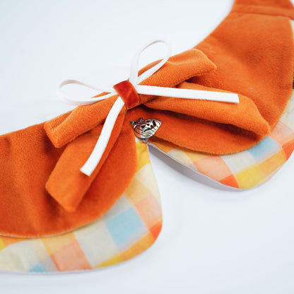 Pumpkin Scholar | Pet Neckwear