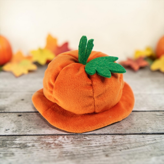Pumpkin Scholar Hat (1-Harvest Pumpkin) | Pet Hat
