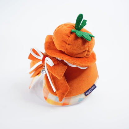 Pumpkin Scholar Hat (1-Harvest Pumpkin) | Pet Hat