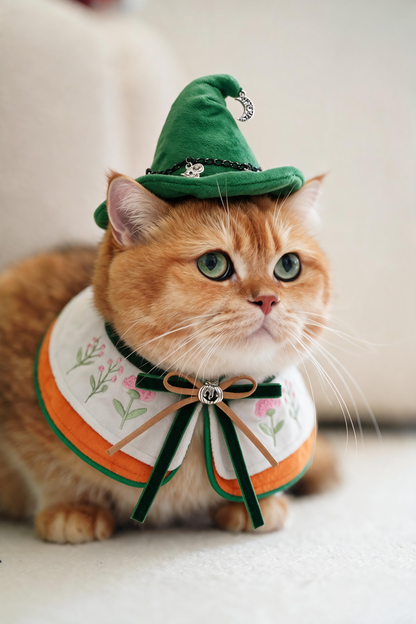 Witch's Alchemist Lab | Pet Neckwear