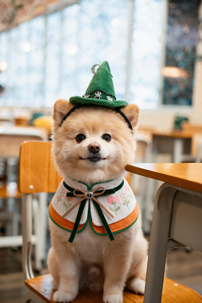 Witch's Alchemist Lab | Pet Neckwear