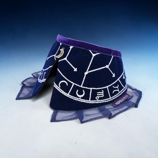 The Oracle's Veil | Pet Neckwear