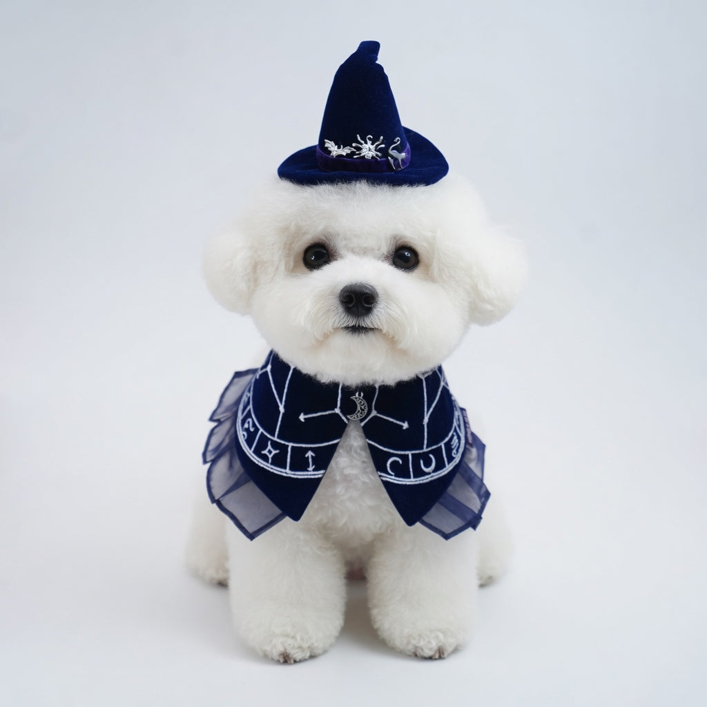 The Oracle's Veil | Pet Hat