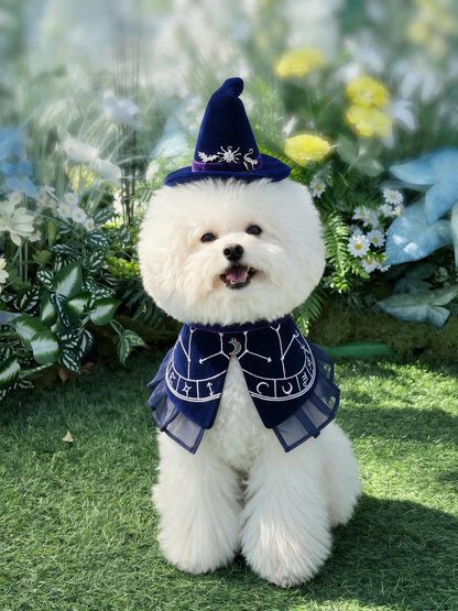 The Oracle's Veil | Pet Hat